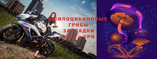 молекула духа Алексеевка